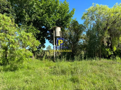 8 Hectáreas Con Casa Y Galpón