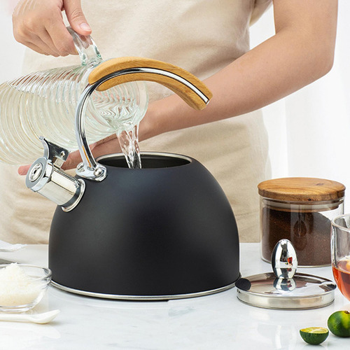 Tetera De Acero Inoxidable Estufa Con Mango De 2 Piezas