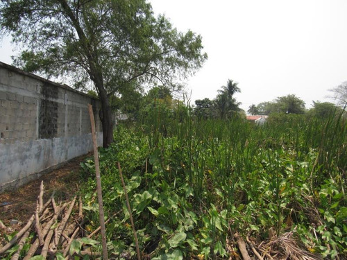 Imagen 4 de 5 de Terreno En Venta Macultepec