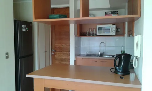 Depto Amoblado 1 Dormitorio Lado Jumbo Sin Estacionamiento