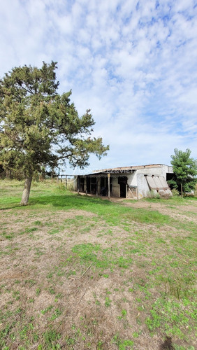 Venta Campo Canelones 9 Hectáreas Y Media Sauce Totoral  Agricola Ganadero Ruta 86