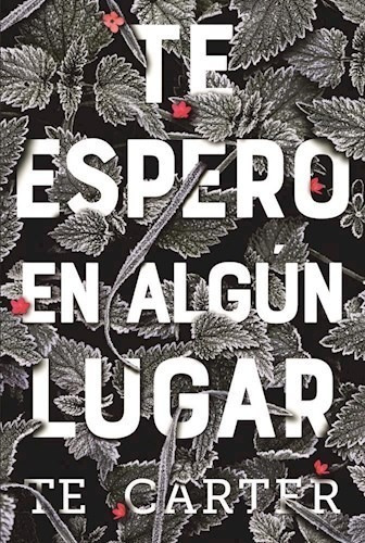 Libro Te Espero En Algun Lugar De T.e. Carter