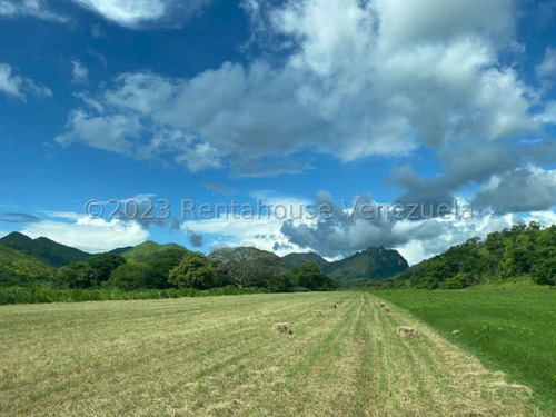 En Guarico Carretera A San Juan De Los Morros , Espectacular Hacienda De 88 Has, 20 De Ellas Vegas A Orillas Del Río Guárico,mls#24-637