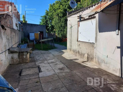Imagen 13 de 14 de Lote 10x30m2 - Ideal Inversor - Muy Luminoso