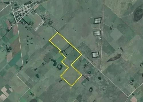 Imagen 14 de 14 de Campo En Venta - Loma Verde