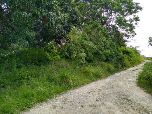 Venta Terreno 773 M² Col. El Naranjal Tuxpan Veracruz