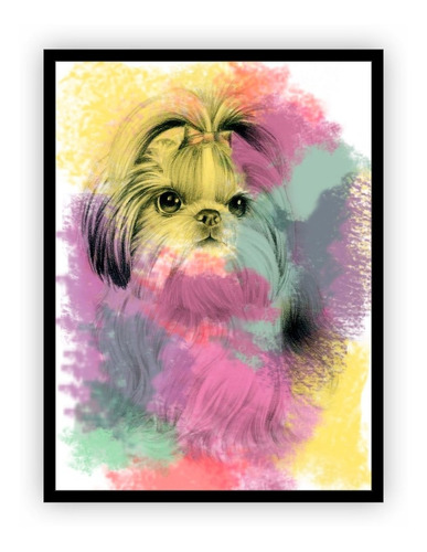 Quadro Moldura - Animais Coloridos Cão Cachorro Shitzu 60x40