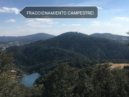 Imagen 2 de 10 de Terreno En Venta Tu Terreno En Mágico Bosque, Con Amenidades
