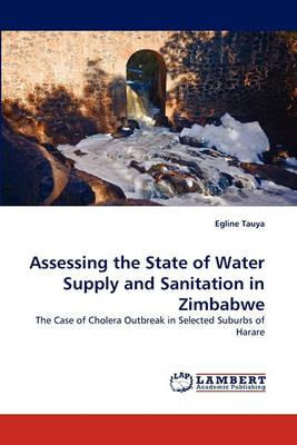 Libro Assessing The State Of Water Supply And Sanitation ...