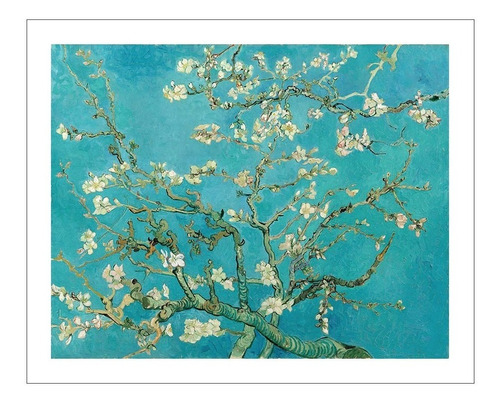 Lamina Fine Art Almendro En Flor Van Gogh 40x50 Myc Arte