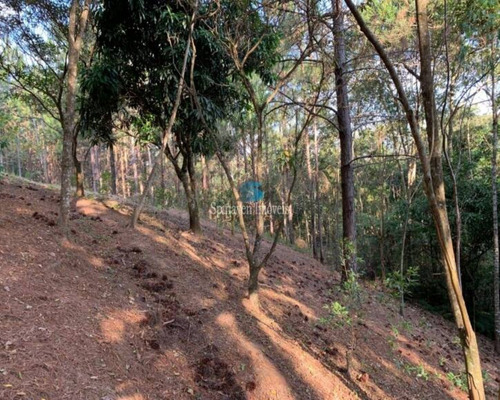 Imagem 3 de 30 de Chácara Para Residir Em Atibaia - Sp - Escriturada Com 3101,00 Metros Quadrados - Ch00925 - 69736248