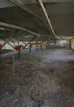 Comprar Bebedero Pico Aves Gallinas Ponedoras Pollos Avicola X10u