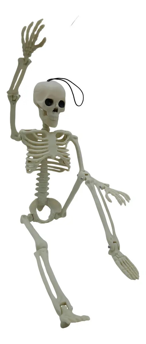 Mini Esqueleto De Brinquedo 35cm Pegadinhas Haloween Magicas Cor Branco
