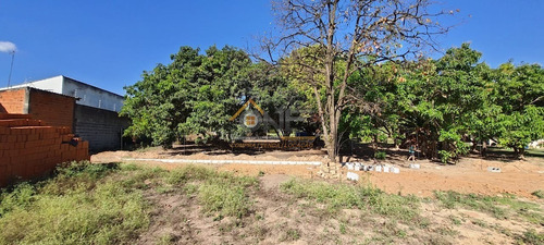 Imagem 5 de 8 de Terreno - Te00368 - 69583420