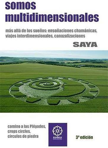 Libro: Somos Multidimensionales (spanish Edition)