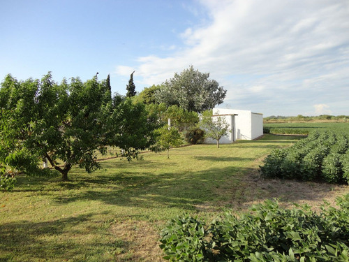 Venta Campo En Fighiera- 2 Hectáreas