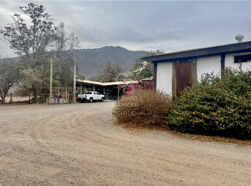 8000 M2 En Cabildo Propiedad Agrícola Comercial