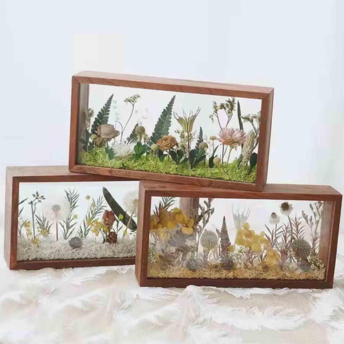 Marco, Vitrina De Flores Secas, Rectangular, 10 Pulgadas