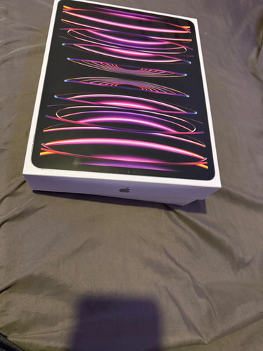 iPad Apple iPad Pro M2 12 12,9 2 Tb Gris Espacial (Usado)