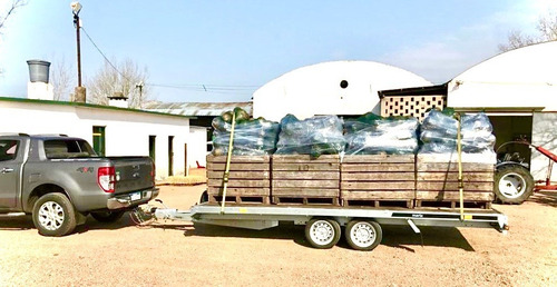 Trailer Temared Carplataform 3000 Kg 4.50 X 2.10 Mts C/freno
