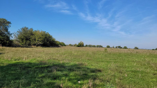 Campo En Gualeguaychú   