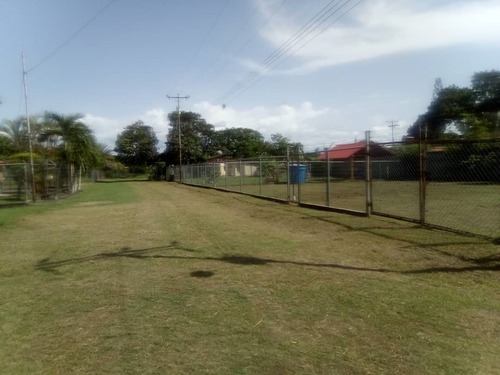 Imagen 3 de 4 de Lote De Terreno En Sector Los Alpes, Tacarigua De Mamporal
