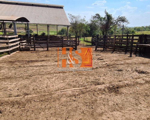 Imagem 10 de 21 de Fazenda - Fa00002 - 69904513