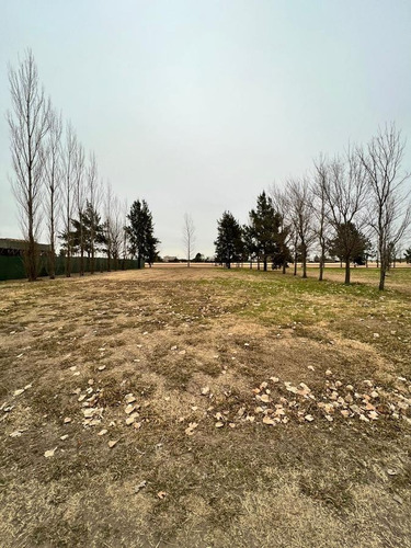 Imagen 2 de 12 de Terreno - La Rinconada - Lote 36 - 1000m2