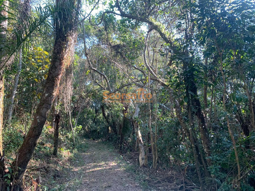 Imagem 8 de 10 de Área À Venda, Mombaça, Itapecerica Da Serra/sp - 4017