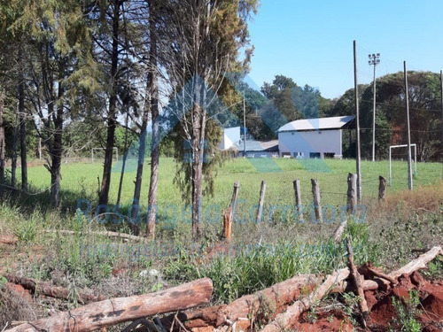 Imagem 3 de 30 de Chacara - Ch00014 - 69832043