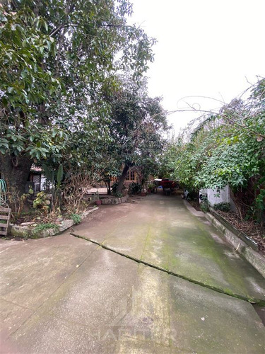 Sitio En Venta En Curicó