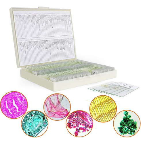 100 Uds Portaobjetos De Microscopio Con Muestras, Portaobjet