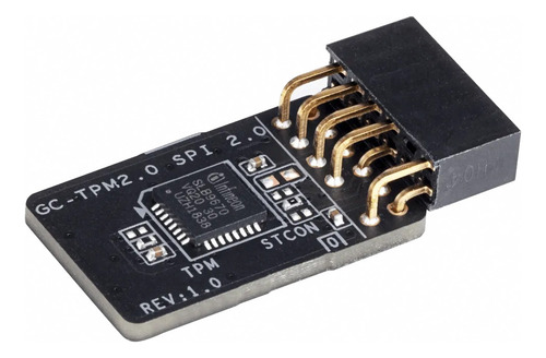 Imagen 1 de 3 de Modulo Tpm Gigabyte Gc-tpm2.0_spi 2.0