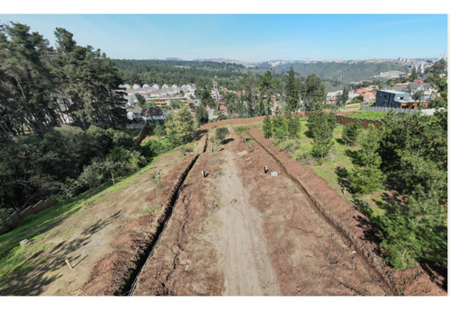 Proyecto Único En Los Pinos, Reñaca
