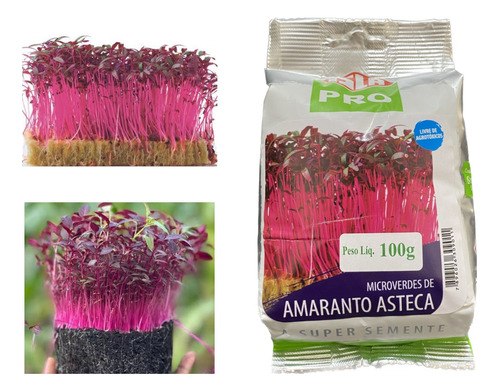 Sementes De Microverdes Amaranto Asteca - 100gr De Sementes