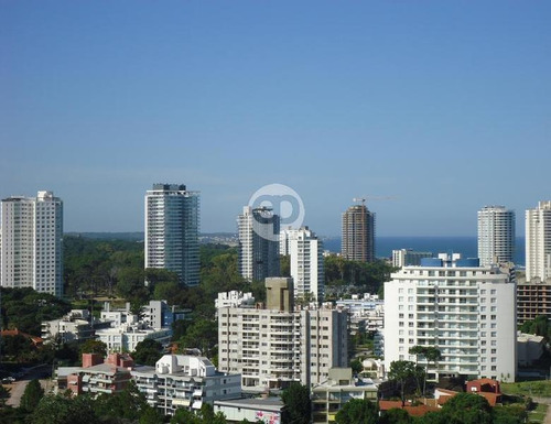 Appartment - Playa Mansa
