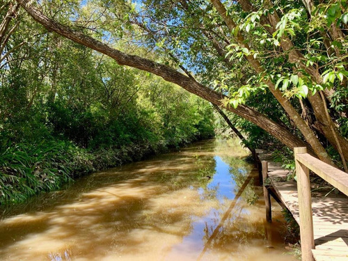 Imagen 11 de 30 de Lote Al Rio Cabaña En Delta Tigre