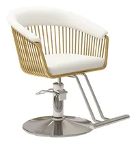Comprar Silla Multifuncional Para Estética Barbería Y Peluquería