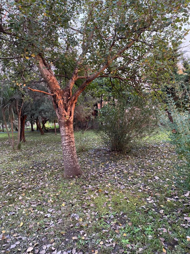 | Venta | Casa Quinta En Barrio El Rodeo