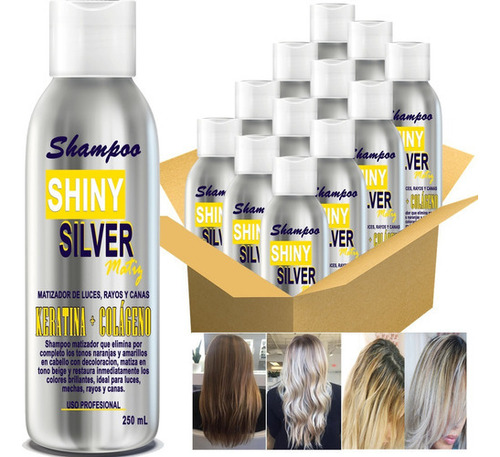 6 Shampoo Matizador Silver+6 Shampoo Platinum Black 250 Ml