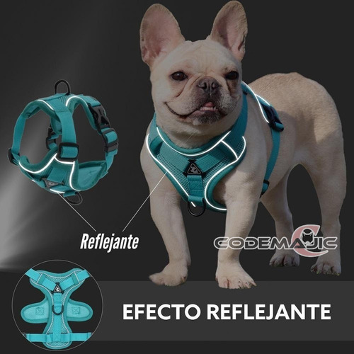 Arnés Pechera Con Correa Malla Resistente Para Perro Gato