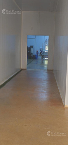 Se Vende, Chacra De Arándanos, En Producción 25 Ha En San José, Apóstoles - Misiones
