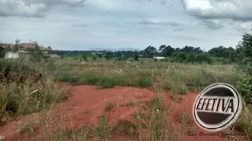 Imagem 5 de 15 de Área Industrial 26.472m² - Bairro Costeira - São José Dos Pinhais - Pr - 968t