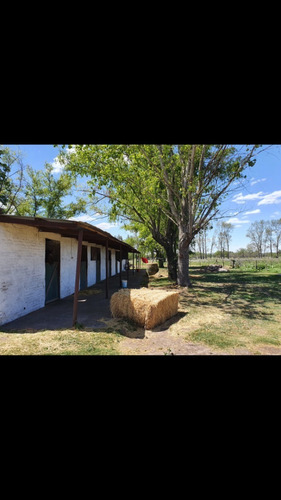 Imagen 7 de 10 de Alquiler Haras 10 Ha Establecimiento Hipico 24 Caballerizas, Silo, Galpon 150mts, Casa Encargado