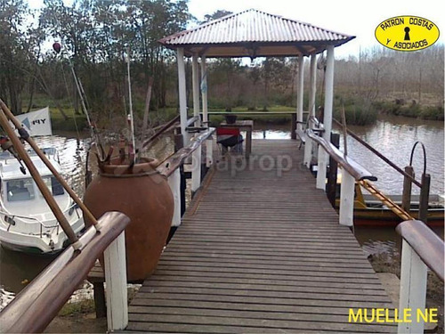 0929hp135 Ha Rio Parana Rn 197-islas Del Paraná-tigre