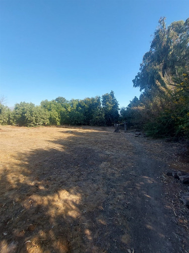 Casa Con Parcela En Venta 4d2b + Cabaña En Quillota