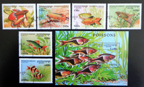 Camboya Peces, Serie + Bloque Sc. 1669-75 1997 Usados L7973