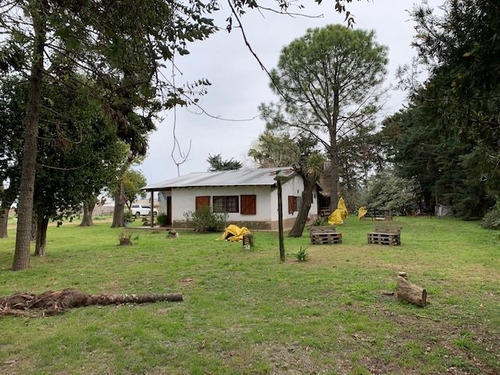 Granja Avícola En San Andrés De Giles (bs. As.)