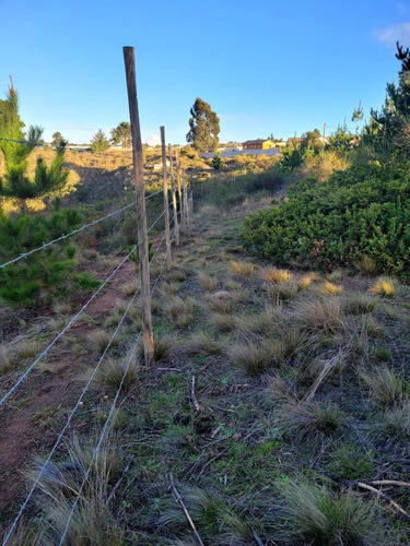 Terreno Ubicado A Menos De Un Kilometro De Algarrobo Centro