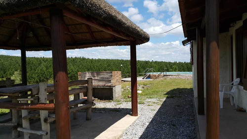 Campo Chacra En Venta Lavalleja, 11 Hectáreas.
